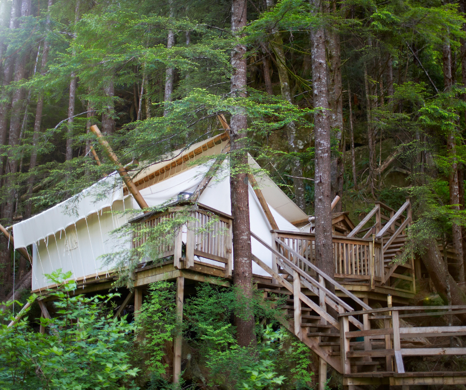 Cabane dans les arbres
