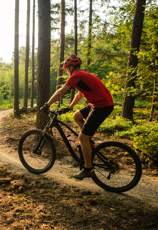 Positionnement idéal à vélo