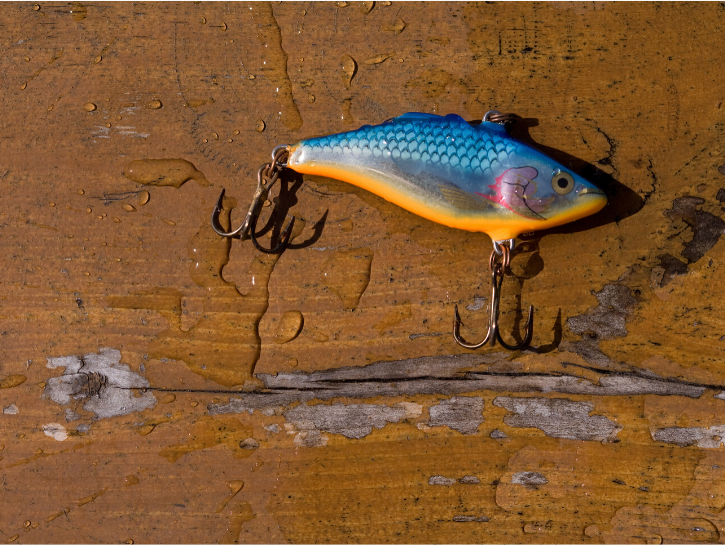 Leurre poisson