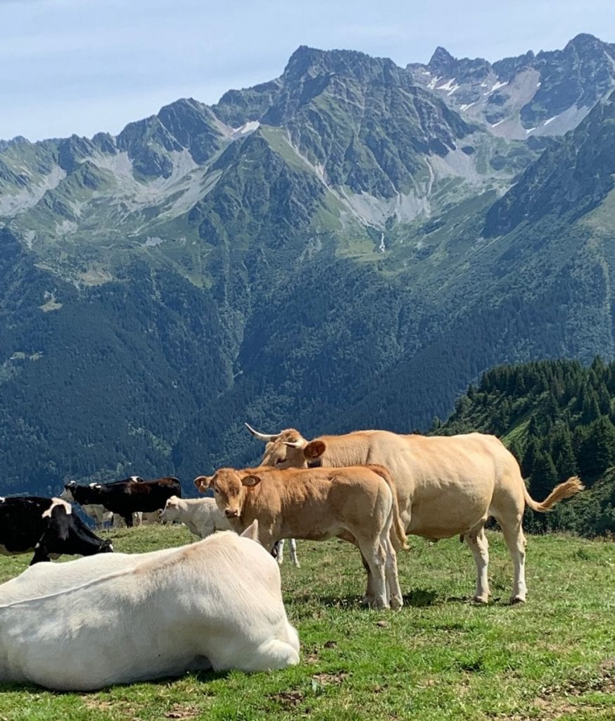 Fromage de Savoie