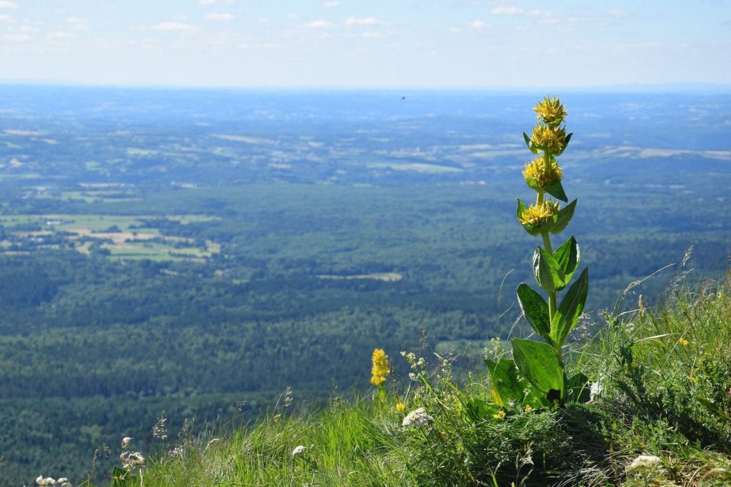 Puy de Dôme
