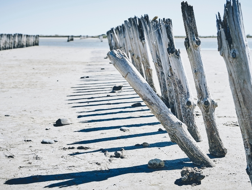 Les Saintes-Maries-de-la-Mer, la capitale de la Camargue