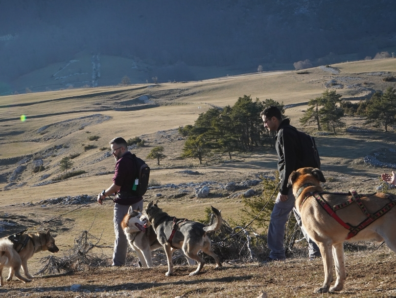 Cani Rando dans le Vercors