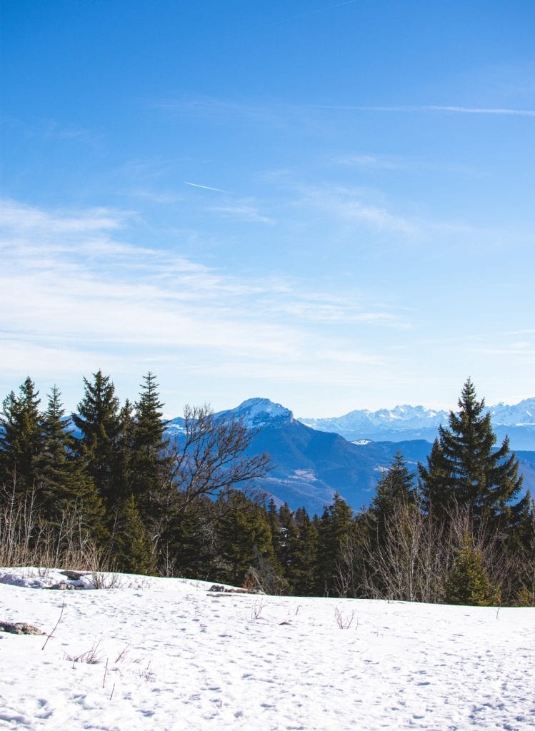 Cani Rando dans le Vercors