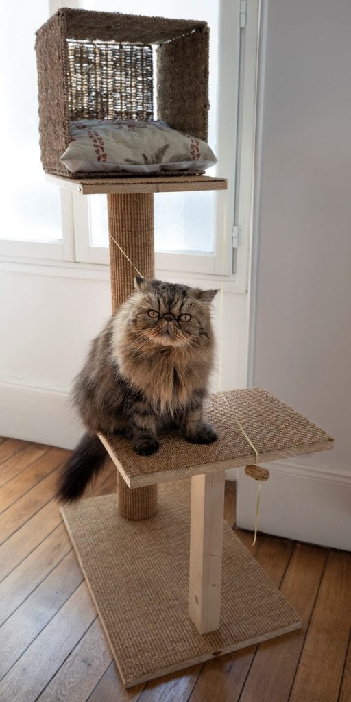 Arbre à chat bricolage