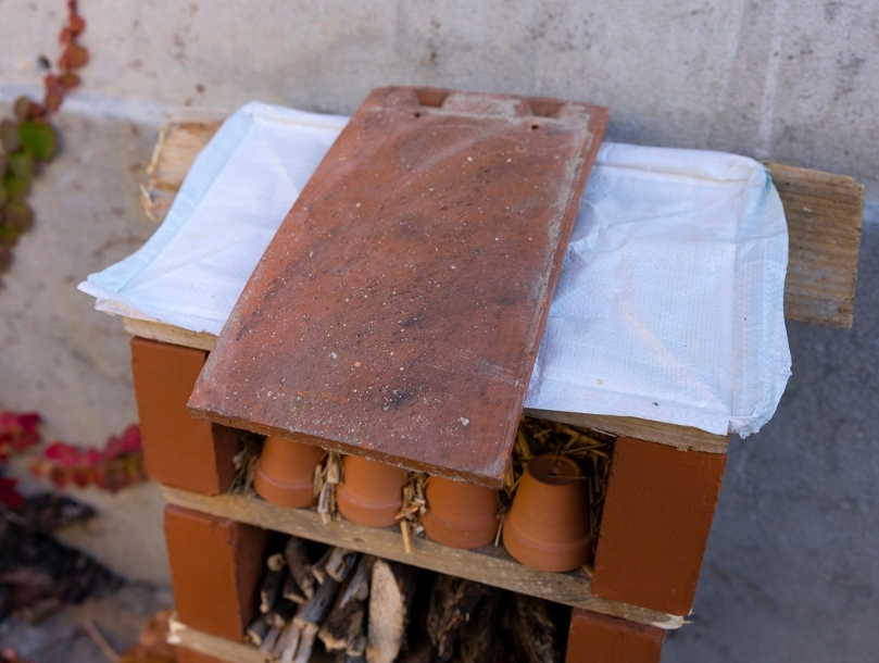 Hôtel à insectes
