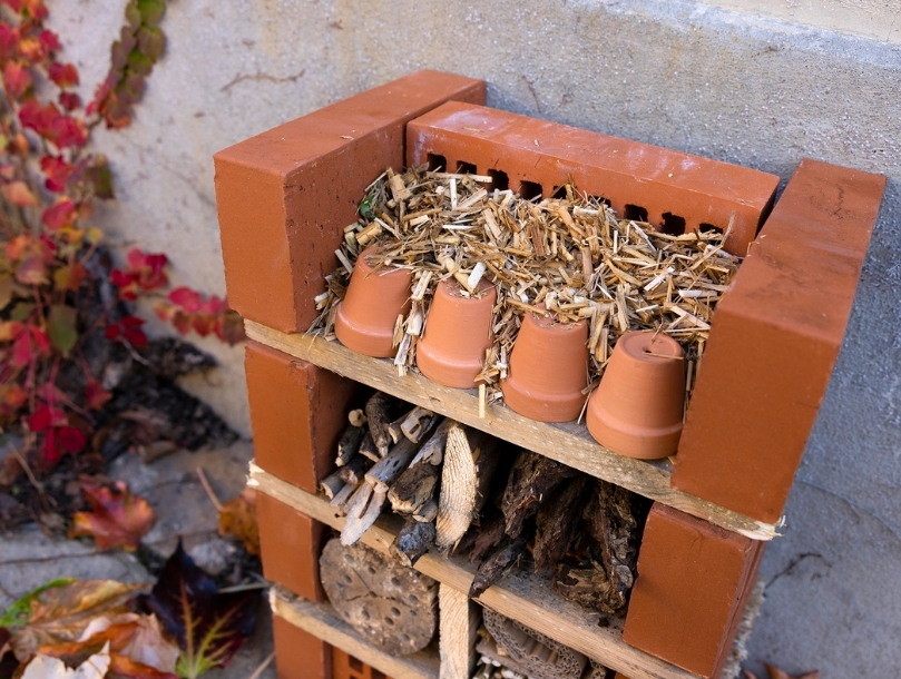 Hôtel à insectes