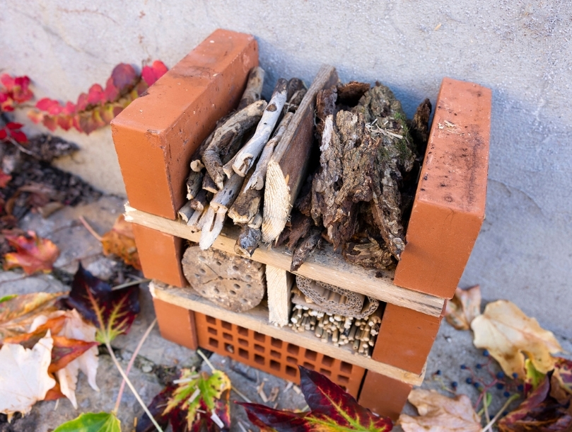 Hôtel à insectes