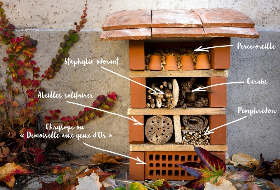 Hôtel à insectes