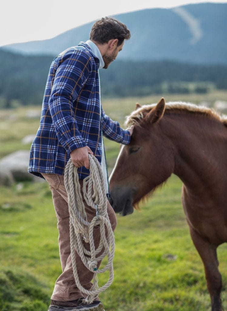 equitation cheval activite nord