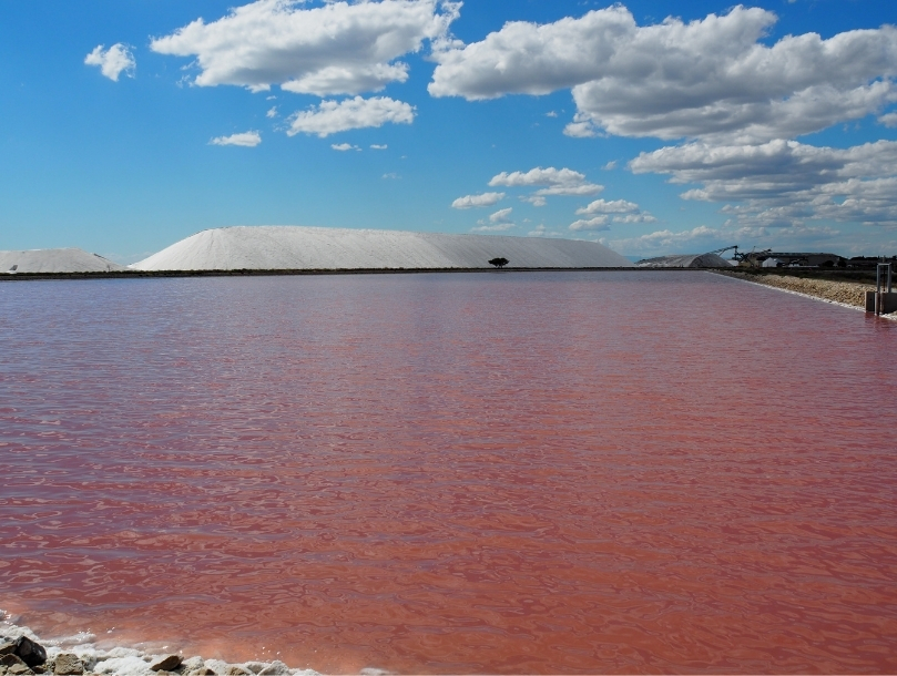 salins camargue
