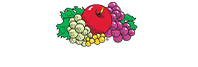 Fruit of the Loom